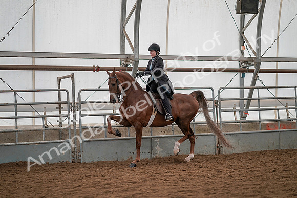 July 19, 2019 - 13157