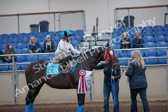 2019 Morgan Horse Show - Aug 31, 2019 - 10194