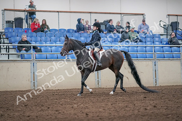 2019 Morgan Horse Show - Aug 31, 2019 - 19491