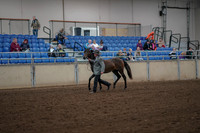 2019 Morgan Horse Show - Aug 30, 2019 - 25680