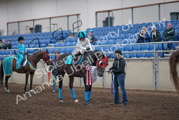 2019 Morgan Horse Show - Aug 31, 2019 - 10116