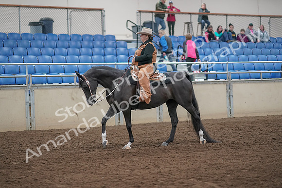 2019 Morgan Horse Show - Aug 31, 2019 - 06123