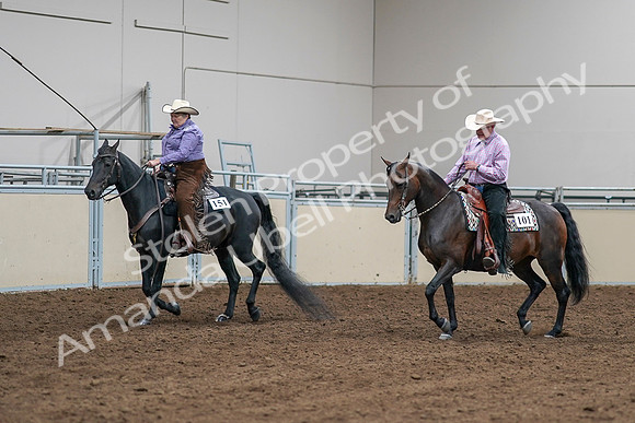 2020 - AB Morgan Horse - Sat, Sept 05 - 05649