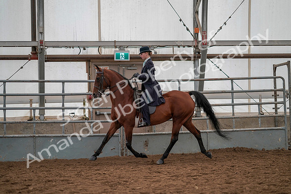 July 19, 2019 - 12995