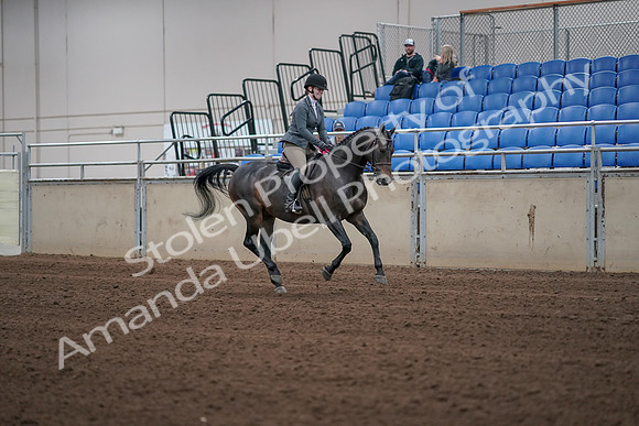 2019 Morgan Horse Show - Sept 01, 2019 - 11085