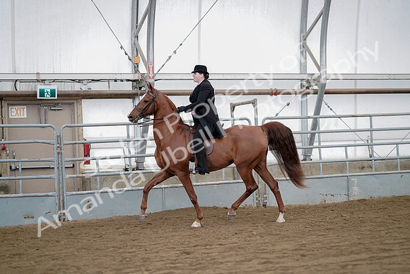 July 21, 2019 - 10473