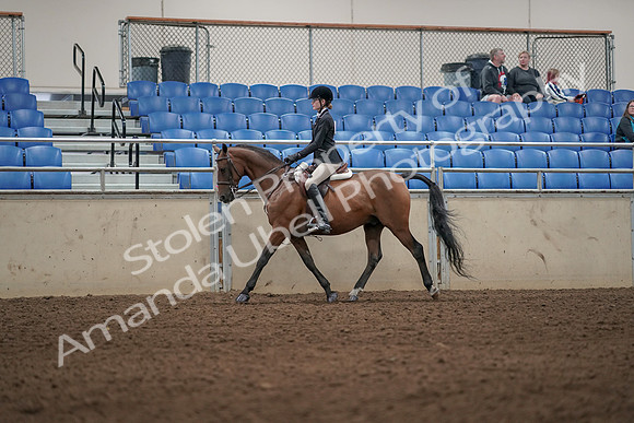 2019 Morgan Horse Show - Aug 31, 2019 - 04865