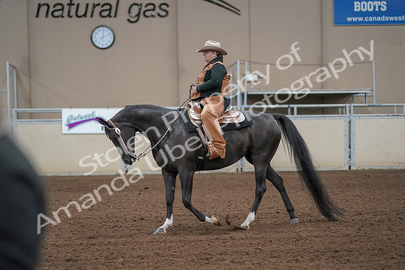 2019 Morgan Horse Show - Aug 31, 2019 - 06238