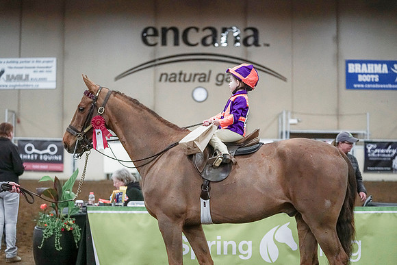 Spring Fling - Saturday - April 20, 2019  -  00185