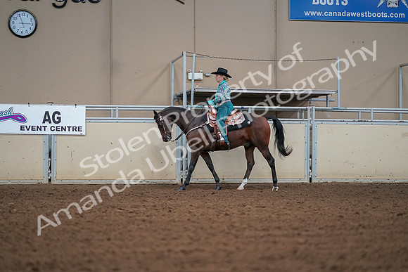 2019 Morgan Horse Show - Aug 30, 2019 - 16812