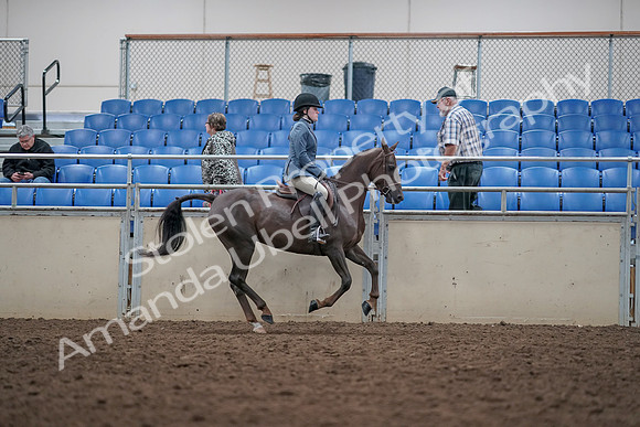 2019 Morgan Horse Show - Aug 31, 2019 - 16774