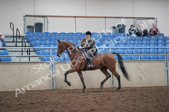 2019 Morgan Horse Show - Aug 31, 2019 - 14999