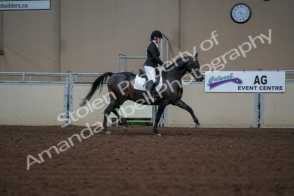 2019 Morgan Horse Show - Aug 30, 2019 - 18540