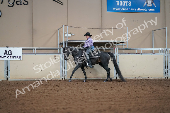 2019 Morgan Horse Show - Aug 30, 2019 - 16818