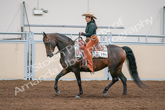 2020 - AB Morgan Horse - Sun, Sept 06 - 01565