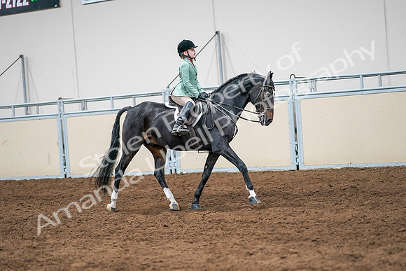 2020 - AB Morgan Horse - Sun, Sept 06 - 08050