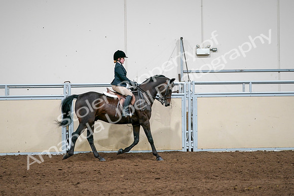 2020 - AB Morgan Horse - Sun, Sept 06 - 07982