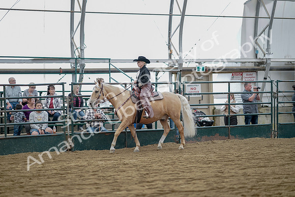 July 21, 2019 - 06726