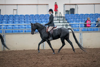 2019 Morgan Horse Show - Aug 31, 2019 - 17138