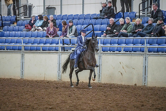 Spring Fling - Saturday - April 20, 2019  -  03950