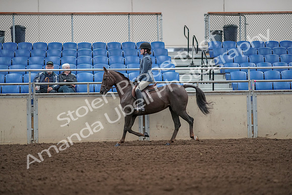2019 Morgan Horse Show - Aug 31, 2019 - 05004
