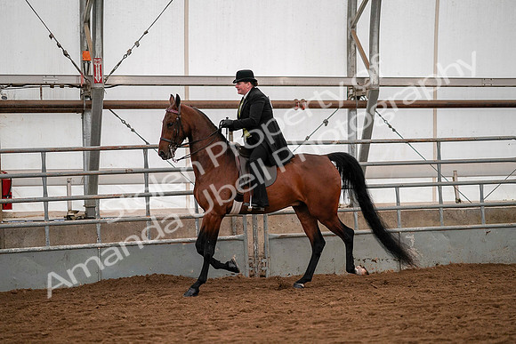 July 19, 2019 - 10273