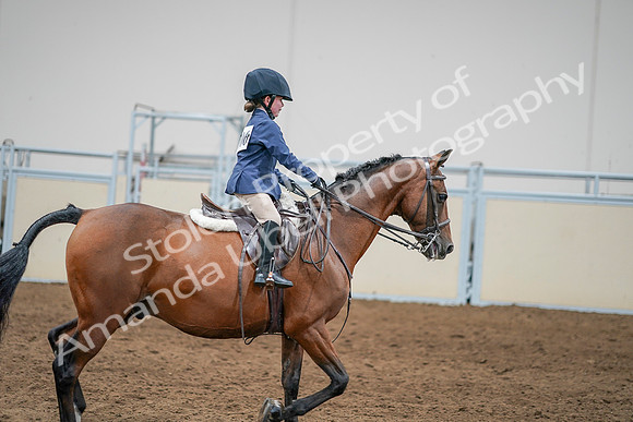 2020 - AB Morgan Horse - Sun, Sept 06 - 08099
