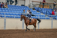 2020 - AB Morgan Horse - Sat, Sept 05 - 01745