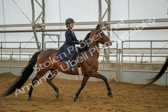 July 20, 2019 - 03818