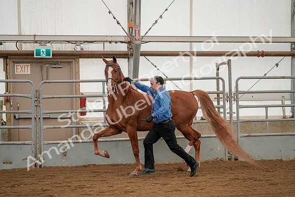 July 19, 2019 - 1390