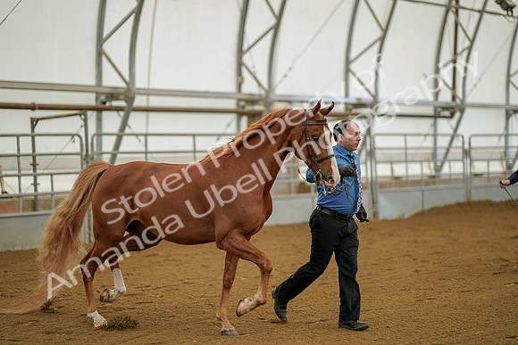 July 19, 2019 - 897