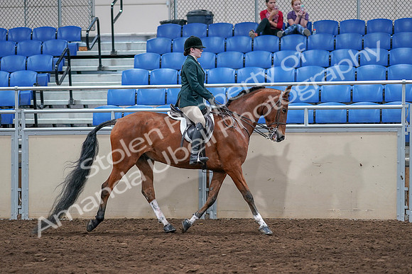 2020 - AB Morgan Horse - Sat, Sept 05 - 05194