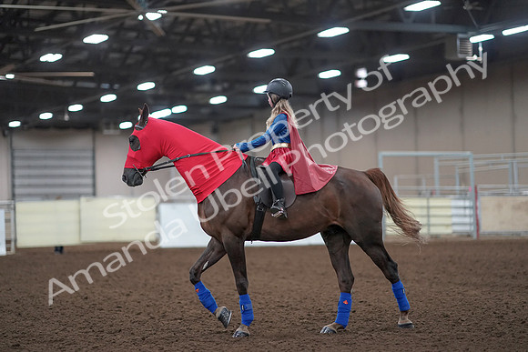 2019 Morgan Horse Show - Aug 31, 2019 - 10077