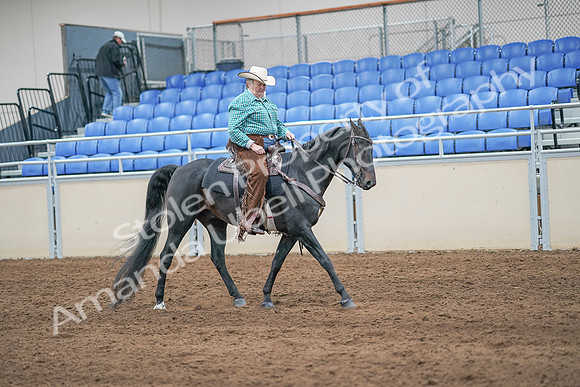 2020 - AB Morgan Horse - Sun, Sept 06 - 01627
