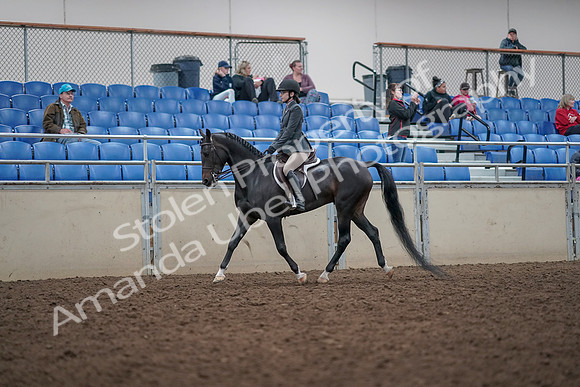2019 Morgan Horse Show - Aug 31, 2019 - 14674