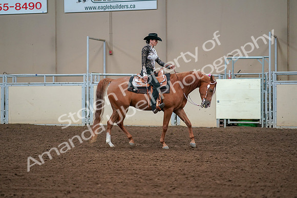 2019 Morgan Horse Show - Aug 30, 2019 - 17015