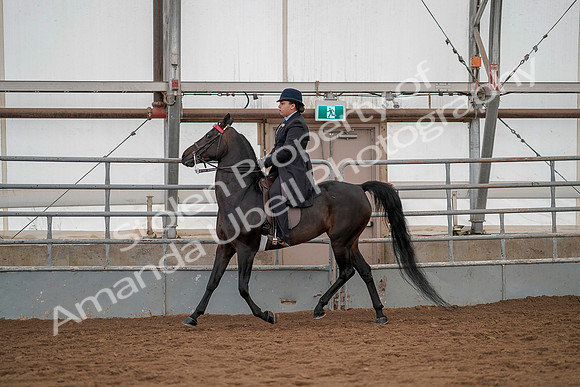 July 20, 2019 - 04213