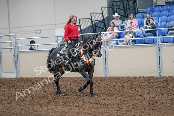2020 - AB Morgan Horse - Sat, Sept 05 - 10504