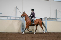 2020 - AB Morgan Horse - Sat, Sept 05 - 03050