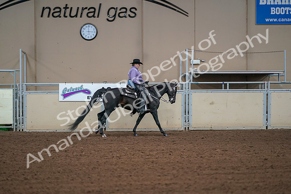 2019 Morgan Horse Show - Aug 30, 2019 - 16990