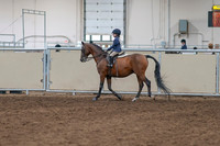 2020 - AB Morgan Horse - Sat, Sept 05 - 01733
