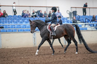 2019 Morgan Horse Show - Aug 31, 2019 - 19394