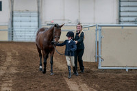 2020 - AB Morgan Horse - Fri, Sept 04 - 00990