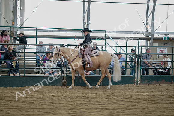 July 21, 2019 - 06542