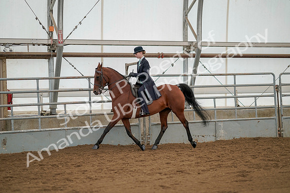 July 20, 2019 - 04411
