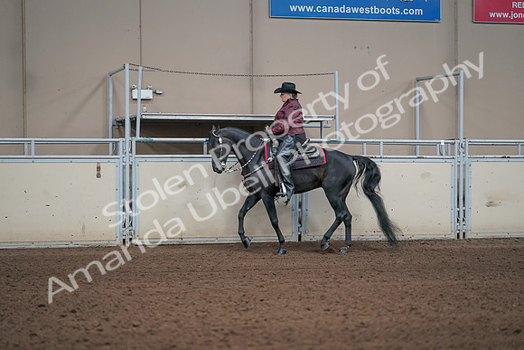 2019 Morgan Horse Show - Aug 31, 2019 - 10602