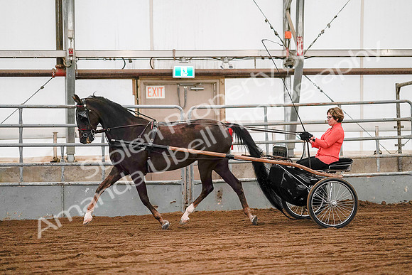 July 19, 2019 - 6987