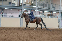 2020 - AB Morgan Horse - Sat, Sept 05 - 04742