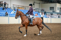2020 - AB Morgan Horse - Fri, Sept 04 - 02222