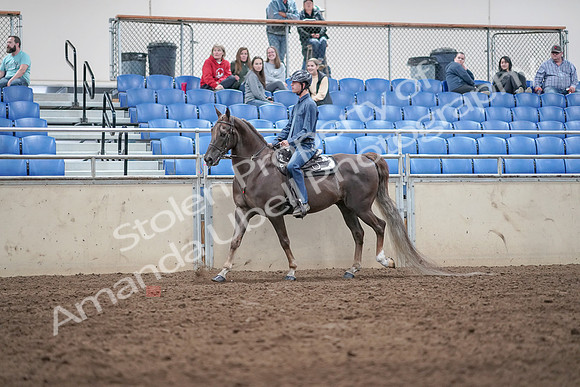 2019 Morgan Horse Show - Aug 31, 2019 - 21387
